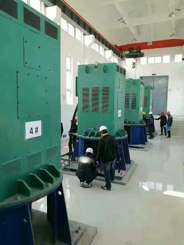 忻城某污水处理厂使用我厂的立式高压电机安装现场