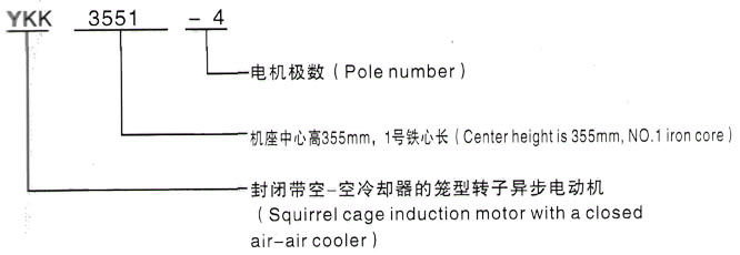 YKK系列(H355-1000)高压忻城三相异步电机西安泰富西玛电机型号说明